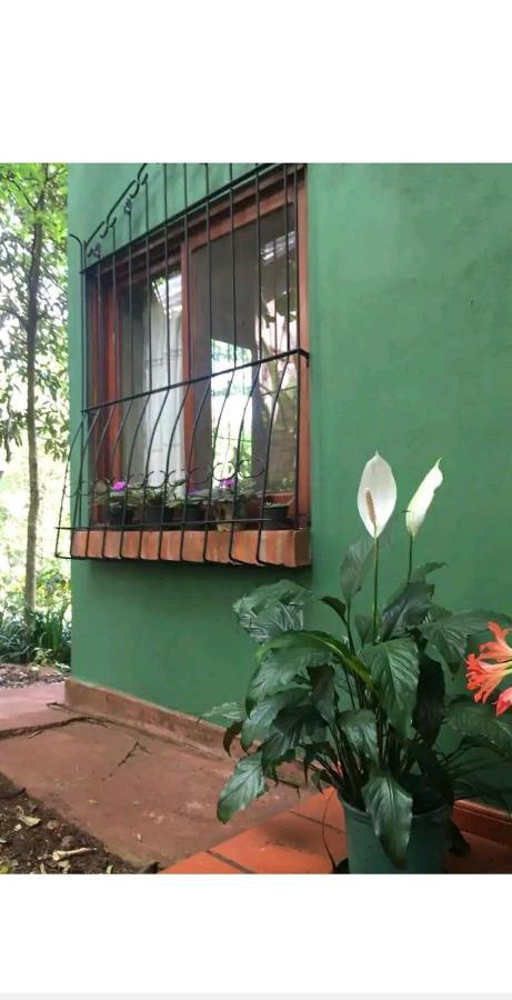 Jardin De Naipi 2 Apartment ปูแอร์โตอีกวาซู ภายนอก รูปภาพ